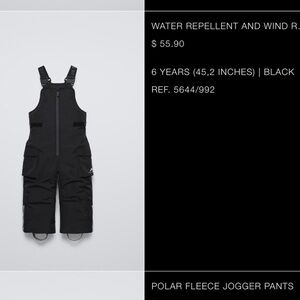 Ski pants